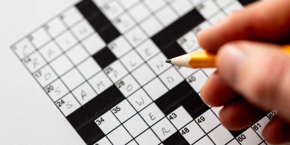 Sector NYT Crossword