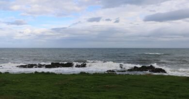 Storm Boelo: Amber Warnings as 80mph Winds Sweep Scotland and the North